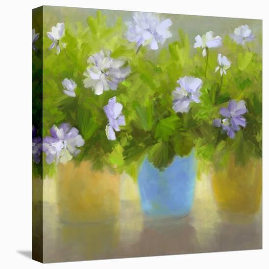 Geraniums IV-Sheila Finch-Stretched Canvas