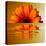 Gerbera Flower as Rising Sun-Winfred Evers-Premier Image Canvas
