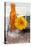Gerbera, Flower, Orange, Glass Bottle-Andrea Haase-Premier Image Canvas