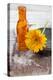 Gerbera, Flower, Orange, Glass Bottle-Andrea Haase-Premier Image Canvas