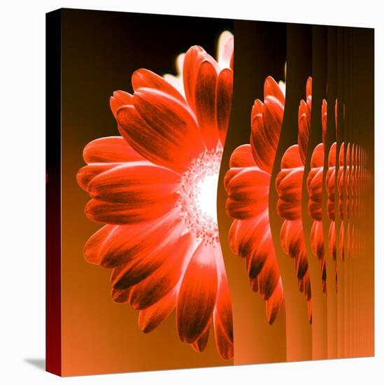 Gerbera Flower Vertical Slivers-Winfred Evers-Premier Image Canvas