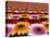 Gerbera Flowers Multiplied in Tiles-Winfred Evers-Premier Image Canvas