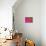 Gerbera, Shocking Pink, United Kingdom-Steve & Ann Toon-Premier Image Canvas displayed on a wall