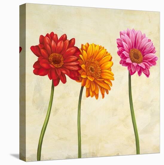 Gerberas (detail)-Cynthia Ann-Stretched Canvas