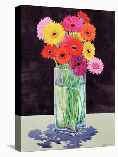 Gerberas-Christopher Ryland-Premier Image Canvas