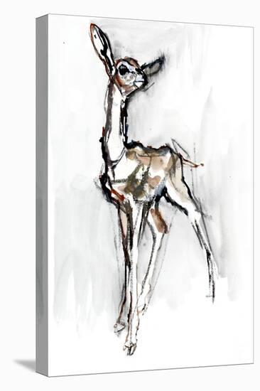 Gerenuk fawn, Sarara, 2018,-Mark Adlington-Premier Image Canvas