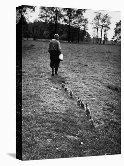 German Ethologist Dr. Konrad Z. Lorenz Studying Habits of Ducks and Geese at Woodland Institute-Thomas D^ Mcavoy-Premier Image Canvas