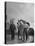 German Prisoner of War Working as Farm Hand for French Farmer-null-Premier Image Canvas