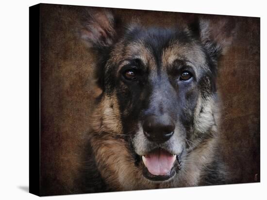 German Shepherd Face-Jai Johnson-Premier Image Canvas