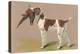 German Short-Haired Pointer with Pheasant-null-Stretched Canvas