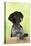 German Shorthaired Pointer Looking over a Fence-null-Premier Image Canvas