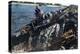 German Tank Fording a River, Russia, 1941-null-Premier Image Canvas