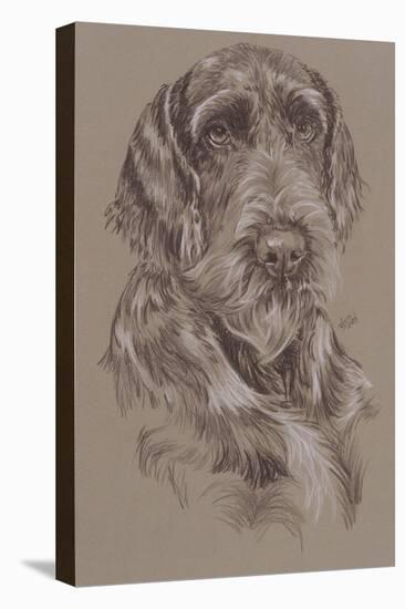 German Wirehaired Pointer-Barbara Keith-Premier Image Canvas