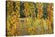 Germany, Baden-Wurttemberg, Karlsruhe, in the castle grounds, trees in autumn.-Roland T. Frank-Premier Image Canvas