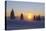 Germany, Baden-Wurttemberg, South Black Forest, Feldberg Area, Winter Scenery, Sunrise-Herbert Kehrer-Premier Image Canvas