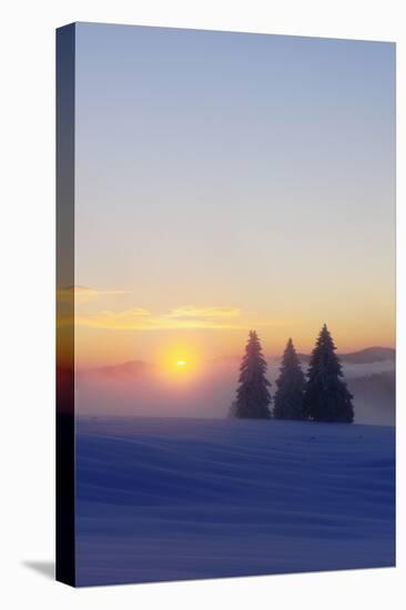 Germany, Baden-Wurttemberg, South Black Forest, Feldberg (Mountain), Winter Scenery, Sunrise-Herbert Kehrer-Premier Image Canvas