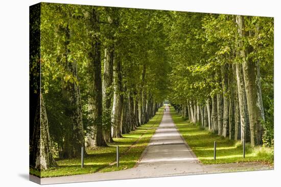 Germany, Baden-Wurttemberg, Unterer Schlossgarten (Lower Castle Gardens-Udo Siebig-Premier Image Canvas