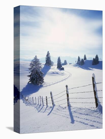 Germany, Bavaria, AllgŠu, Snow Scenery, Back Light, Alps, Mountains, Loneliness, Mountains, Winter-Herbert Kehrer-Premier Image Canvas