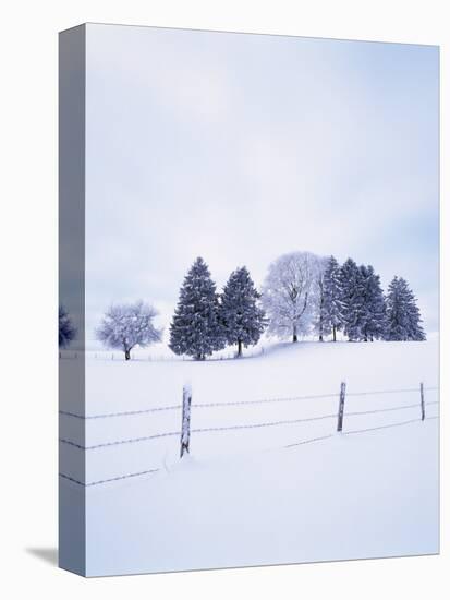 Germany, Bavaria, AllgŠu, Snow Scenery, Trees-Herbert Kehrer-Premier Image Canvas