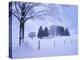 Germany, Bavaria, AllgŠu, Snow Scenery, Trees-Herbert Kehrer-Premier Image Canvas