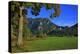 Germany, Bavaria, Cloudless Autumn Day, Schwangau Near FŸssen, Neuschwanstein Castle-Uwe Steffens-Premier Image Canvas