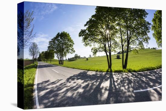 Germany, Bavaria, Country Road in Summer-Ralf Gerard-Premier Image Canvas