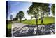Germany, Bavaria, Country Road in Summer-Ralf Gerard-Premier Image Canvas
