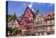 Germany, Bavaria, Lower Franconia, Mainfranken, the Main River-Udo Siebig-Premier Image Canvas