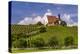 Germany, Bavaria, Lower Franconia, Mainfranken, Volkach, Pilgrimage Church Maria in the Vineyard-Udo Siebig-Premier Image Canvas