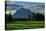 Germany, Bavaria, 'SŠuling' (Mountain) Above 'An Der Schšnen Buche' (Meadow) Near FŸssen-Uwe Steffens-Premier Image Canvas