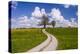 Germany, Bavaria, Upper Bavaria, FŸnfseenland, Schmitten, Municipality Seeshaupt, Spring Scenery-Udo Siebig-Premier Image Canvas