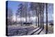 Germany, Bavaria, Upper Bavaria, Tšlzer Land (Area), Schlehdorf by the Kochelsee-Udo Siebig-Premier Image Canvas