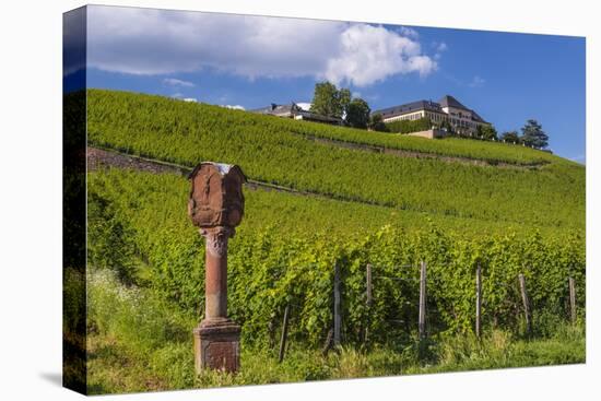 Germany, Hessen, Rheingau, Geisenheim, District Johannisberg-Udo Siebig-Premier Image Canvas