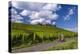 Germany, Hessen, Rheingau, Geisenheim, District Johannisberg-Udo Siebig-Premier Image Canvas