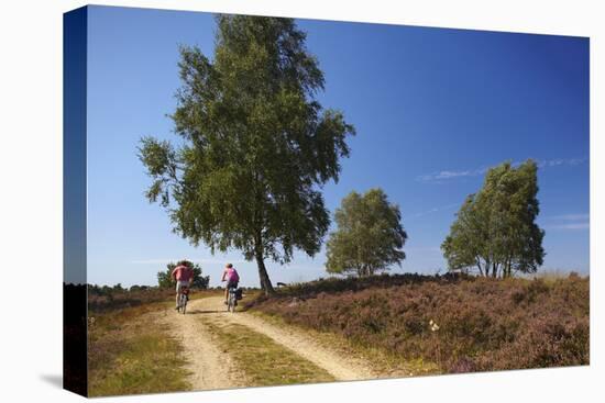 Germany, Lower Saxony, LŸneburg Heath, Heath Path, Cyclists-Chris Seba-Premier Image Canvas