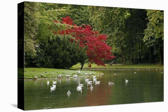 Germany, Munich. Englischer Garten, or English Garden of Munich-Kymri Wilt-Premier Image Canvas