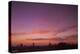 Germany, North Rhine-Westphalia, Cologne, Skyline with Evening Sky-Andreas Keil-Premier Image Canvas