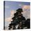 Germany, North Rhine-Westphalia, Wahner Moor, Pine in Front of Evening Sky-Andreas Keil-Premier Image Canvas