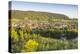 Germany, Rhineland-Palatinate, District Trier-Saarburg, Schoden, Village View the Saar-Udo Bernhart-Premier Image Canvas