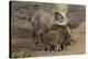 Germany, Rhineland-Palatinate, wild boar (Sus scrofa) wild sow with young wild boars.-Roland T. Frank-Premier Image Canvas