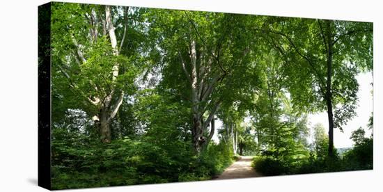 Germany, Saxony, Bad Muskau, High Path, Panorama, UNESCO World Heritage, FŸrst-PŸckler-Park-Catharina Lux-Premier Image Canvas