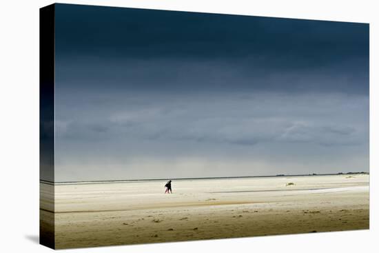 Germany, Schleswig-Holstein, Amrum, Sandy Beach, Sandbank, Kniepsand, Stroller-Ingo Boelter-Premier Image Canvas