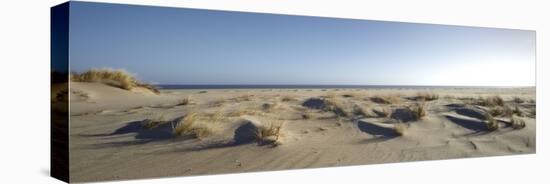 Germany, Schleswig - Holstein, island of Sylt, dunes on the beach of List-Alexander Voss-Premier Image Canvas