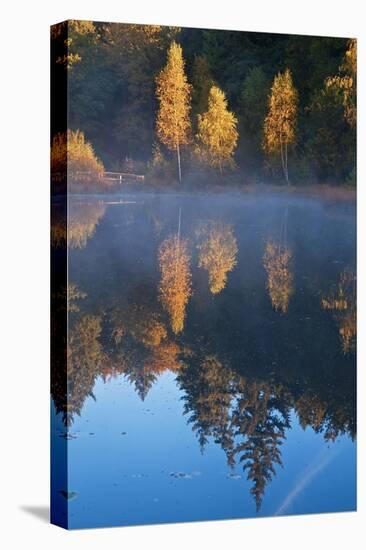 Germany, Schleswig-Holstein, Lauenburg Lakes Nature Park, Grundloser Kolk-Thomas Ebelt-Premier Image Canvas