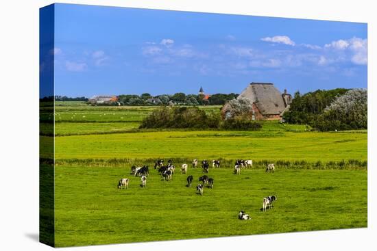 Germany, Schleswig-Holstein, North Frisia, Peninsula Eider (River)Stedt, Westerhever-Udo Siebig-Premier Image Canvas