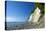 Germany, the Baltic Sea, Western Pomerania, Island RŸgen, Chalk Rocks, Ferry, Horizon-Chris Seba-Premier Image Canvas