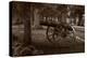 Gettysburg Cannon B W-Steve Gadomski-Premier Image Canvas