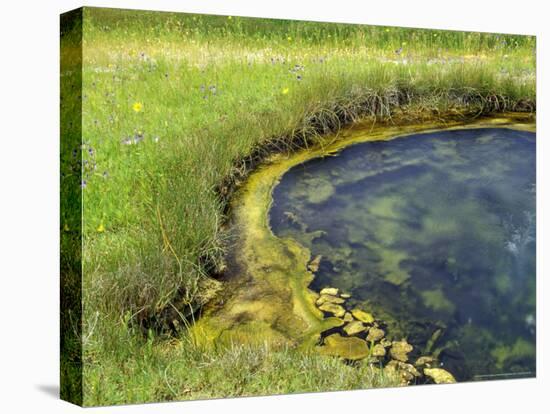 Geyser Pool, Yellowstone National Park, Wyoming, USA-William Sutton-Premier Image Canvas