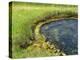 Geyser Pool, Yellowstone National Park, Wyoming, USA-William Sutton-Premier Image Canvas