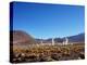 Geysers El Tatio, Antofagasta Region, Chile, South America-Karol Kozlowski-Premier Image Canvas